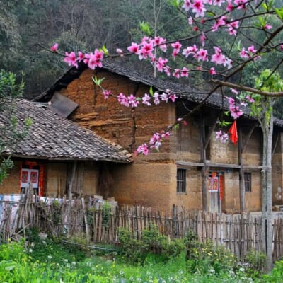 Tranh Kỳ Quan Thế Giới