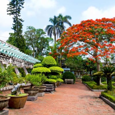 Tranh Kỳ Quan Thế Giới