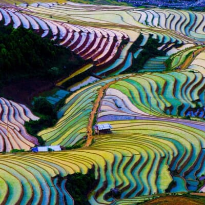 Tranh Kỳ Quan Thế Giới