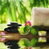 Tranh Spa