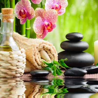 Tranh Spa
